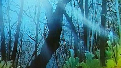 Bob Ross: Golden Rays of Sunlight