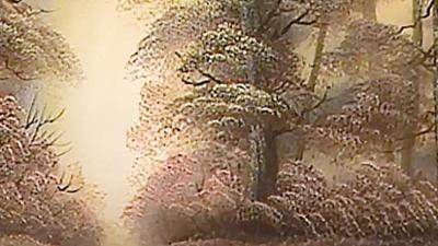 Bob Ross: Sunlight in the Shadows