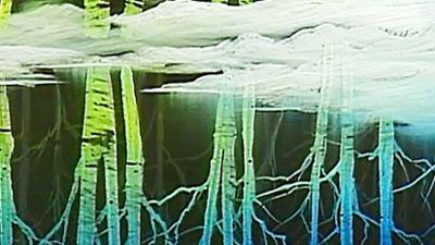 Bob Ross: Snow Birch