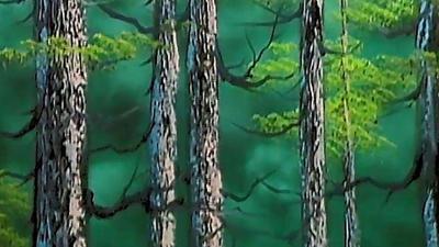 Bob Ross: Silent Forest