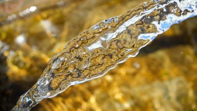 Campus Talks: "Die Sex-Lüge" & "Wasser in den Städten der Zukunft"