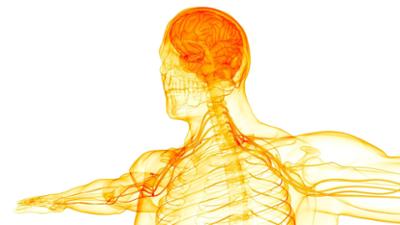 Campus Talks: Regenerative Therapien, intelligente Textilien und künstliche Muskeln - die Bedeutung multifunkti...