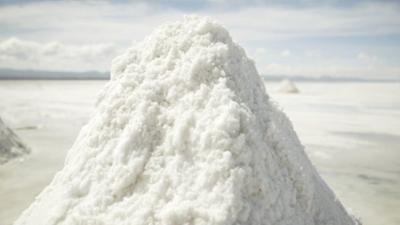 Die geheime Macht des Geschmacks: Bedürfnis und Begierde