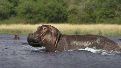 Die grössten Flüsse der Erde: Die größten Flüsse der Erde · Der Nil