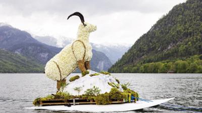 Frühsommer im Ausseerland: Das heurige Narzissenfest