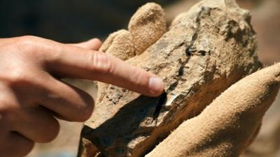 Geheimnisse der Jurassic-Saurier: (1/2)