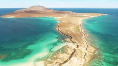 Golf von Kalifornien: Bedrohte Unterwasserwelt
