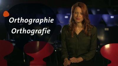 Groß- und Kleinschreibung, Kommata: Wozu Orthografie?