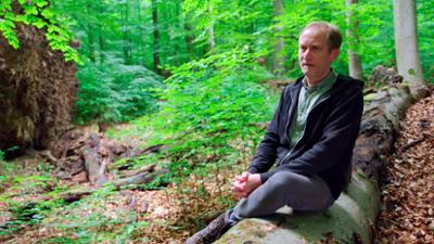 Grüne Lügen - Die Tricks mit Greenwashing: Grüne Lügen · Die Tricks mit Greenwashing