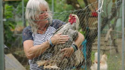 Huhn ist hip - Wolken über dem Hühnerparadies: Huhn ist hip · Wolken über dem Hühnerparadies