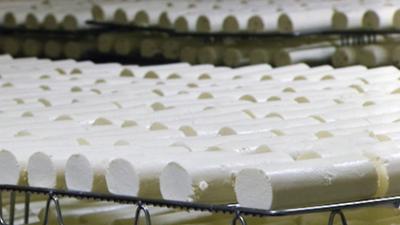 Ich mach's!: Milchtechnologe/-in