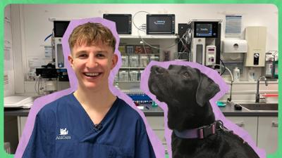 JobChallenge: Tierarzt-Challenge für Schüler Moritz · Tiermedizinische/r Fachangestellte/r