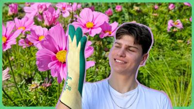 JobChallenge: Gärtner-Challenge für Schüler Julian · Gärtner/-in für Garten- und Landschaftsbau