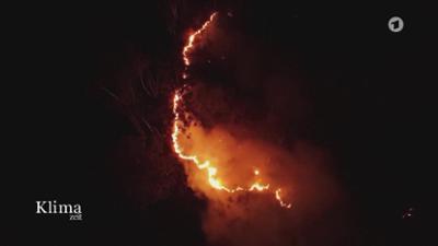 Klimazeit: Wie funktioniert das System der Weltklimakonferenz in Brasilien?