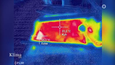Klimazeit: Nachhaltige Energiegewinnung in der Landwirtschaft