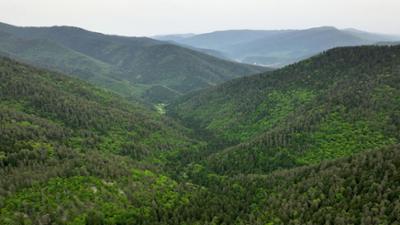 Länder - Menschen - Abenteuer: Georgiens wilde Schönheit - Von der Schwarzmeer-Küste in die Berge
