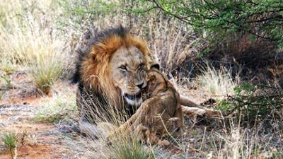 Länder - Menschen - Abenteuer: Von Kapstadt in die Kalahari – Südafrikas unbekannter Westen