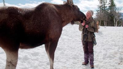 Länder - Menschen - Abenteuer: Vom Fjell zu den Fjorden (2/2)