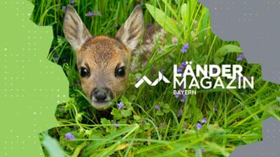 Ländermagazin: Tierschutz in der Oberpfalz