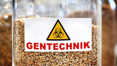 Landwirtschaft im Wandel. Gehört die Zukunft der Gentechnik?: Landwirtschaft im Wandel · Gehört die Zukunft der Gentechnik?