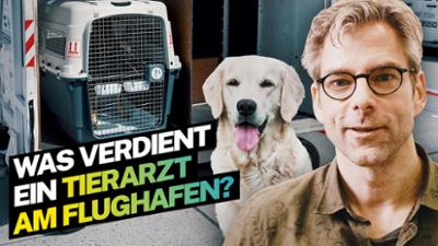 Lohnt sich das?: Was verdient ein Tierarzt am Flughafen?