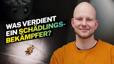 Lohnt sich das?: Was verdient ein Schädlingsbekämpfer?