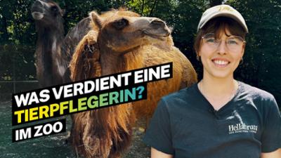 Lohnt sich das?: Was verdient eine Tierpflegerin?