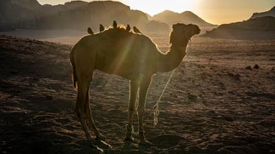 Michael Martin - Mit der Kamera um die Welt: Rift Valley und Arabische Halbinsel (2/4)