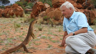 nano: Sir David Attenborough wird 100
