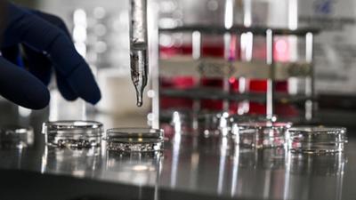 nano: Durchbruch in der Petrischale - warum IVF so oft scheitert