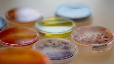 nano: Spiegel-Biologie: Genial oder unkontrollierbares Risiko?