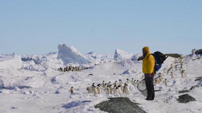 nano: Waghalsige Expedition zu den Danger Islands - Segeln für die Pinguine