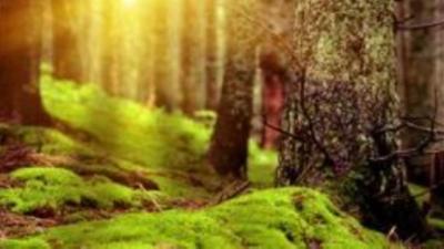 nano: Die Welt von morgen
