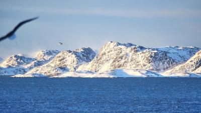 nano: Trumps Griff nach Grönland: Kampf um Eis, Erz und Einfluss