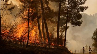 nano: Mit Feuer leben: Neue Wege gegen Waldbrände nano: Mit Feuer leben: Neue Wege gegen Waldbrände
