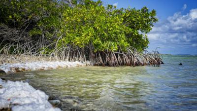 nano: Klage gewonnen: Karibikinsel zwingt Niederlande zu Klimaschutz