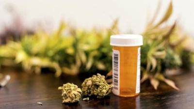 nano: Synthetische Cannabinoide Matthias MaurerMikrofarming