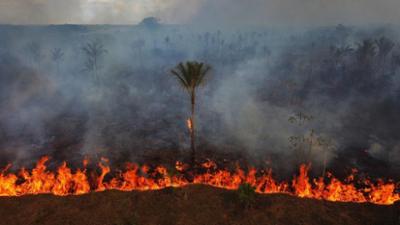 nano: Lulas Wahlsieg: Rettung für Brasiliens Regenwald?