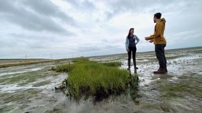 Natur am Limit. Vom Umdenken und Anpacken.: Natur am Limit · Vom Umdenken und Anpacken