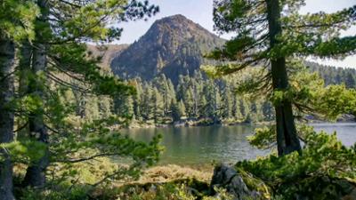 Ostwärts - durch Montenegro: (2/2)