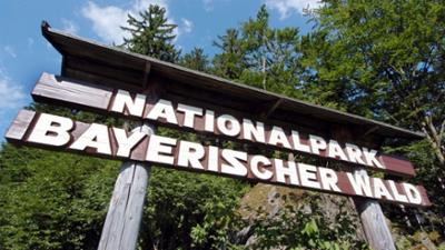 Planet Wissen: Nationalpark Bayerischer Wald - Forschung im Urwald