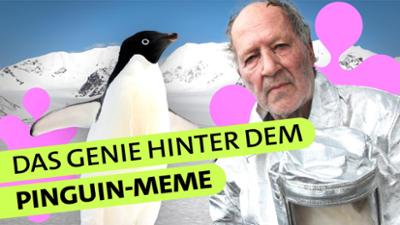 Pop Secret Stories: Chaos, Pinguine, Kinski - warum das Internet Werner Herzog liebt