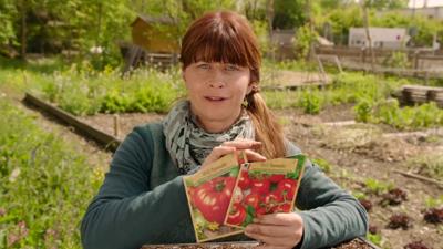 Querbeet ABC: Generative Vermehrung (2/5)