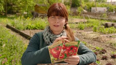 Querbeet ABC: Generative Vermehrung (2/5)