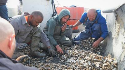 Re: Die Muschelsucher vom Tejo: Die Muschelsucher vom Tejo · Illegaler Beutezug aus Not