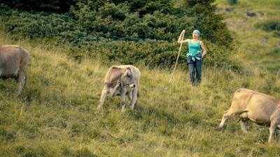 Rund um die Tuxer Alpen