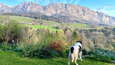 Rund ums Höllengebirge