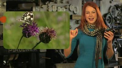 Sachtextanalyse - Textintention: Textinhalt - Was die Autorin/der Autor sagt