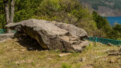 Schnittgut. Alles aus dem Garten: Schnittgut, 11.06.25: Felsengarten
