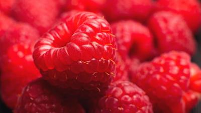 Schnittgut. Alles aus dem Garten: Schnittgut, 22.07.25: Himbeeren Schnittgut. Alles aus dem Garten: Schnittgut, 22.07.25: Himbeeren